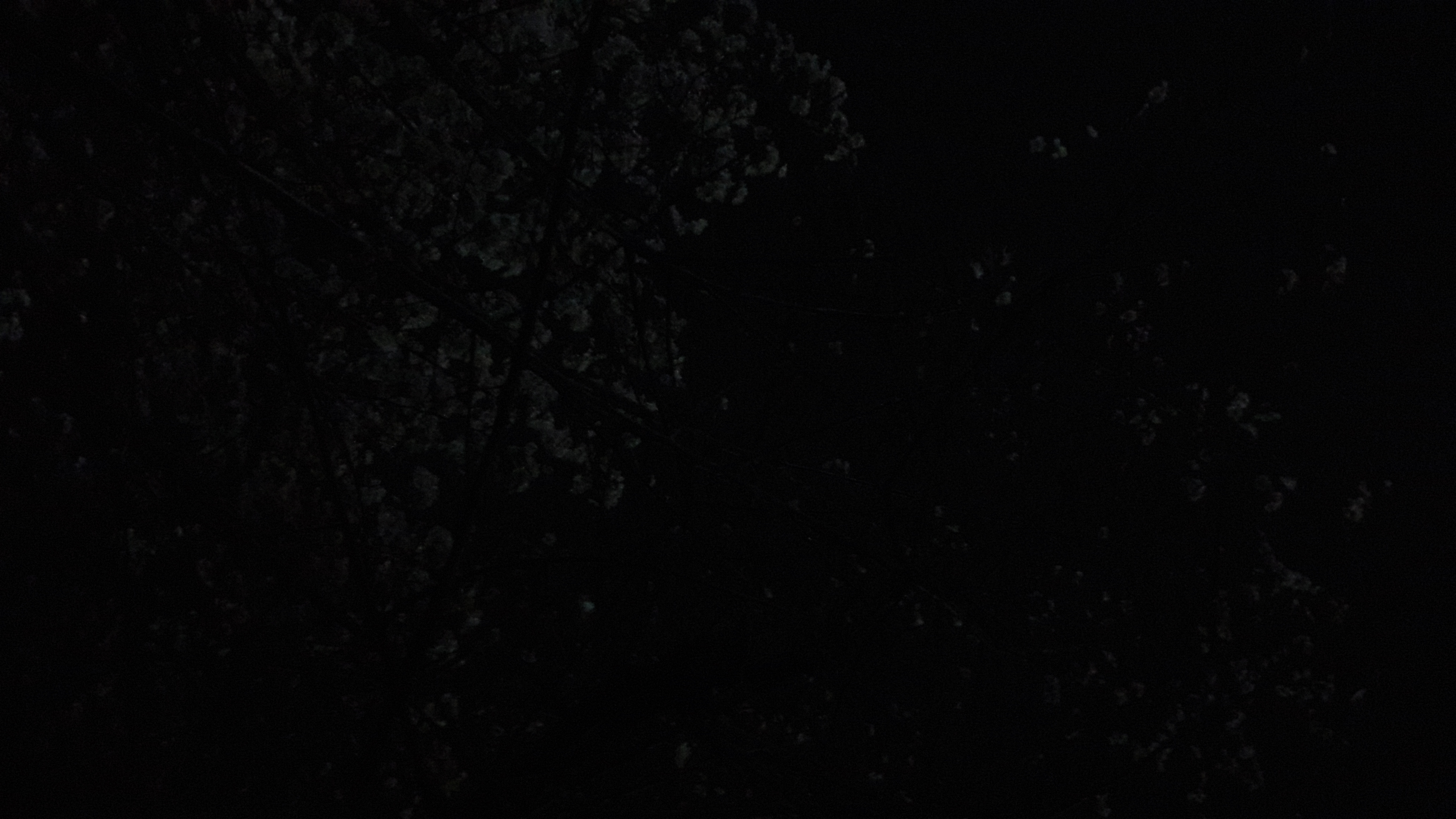 20170410_215519.jpg