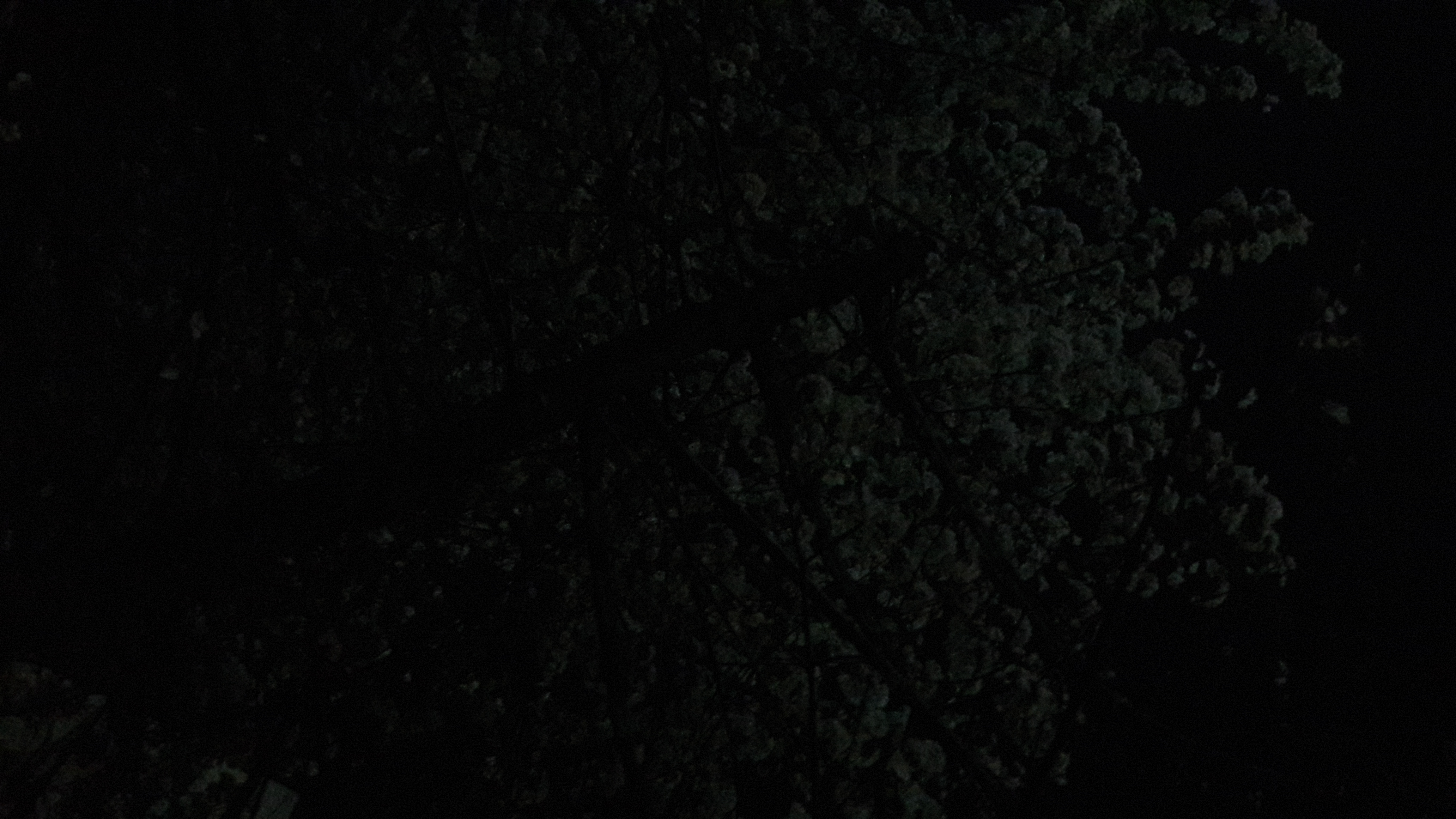 20170410_215600.jpg