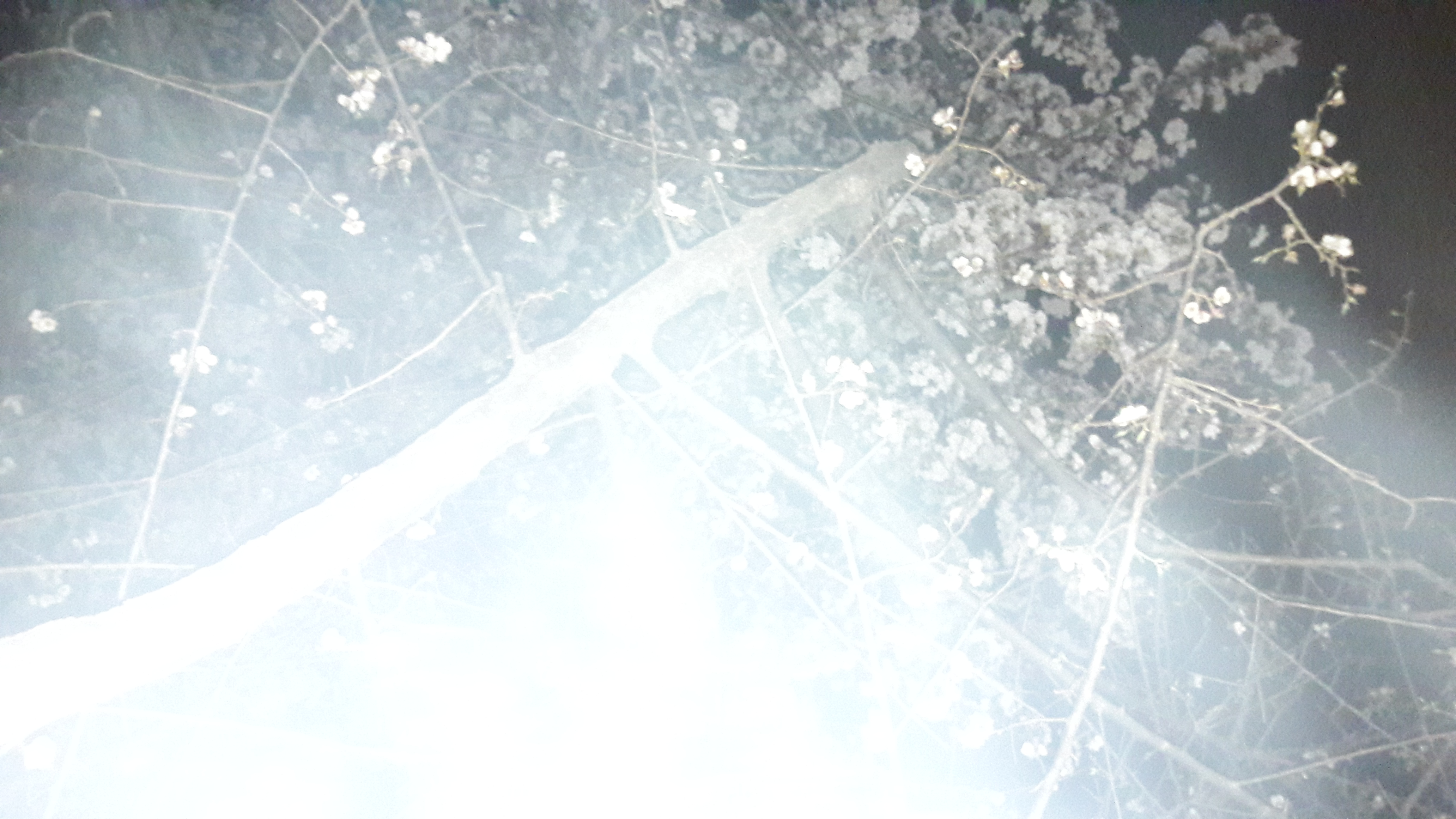 20170410_215722.jpg