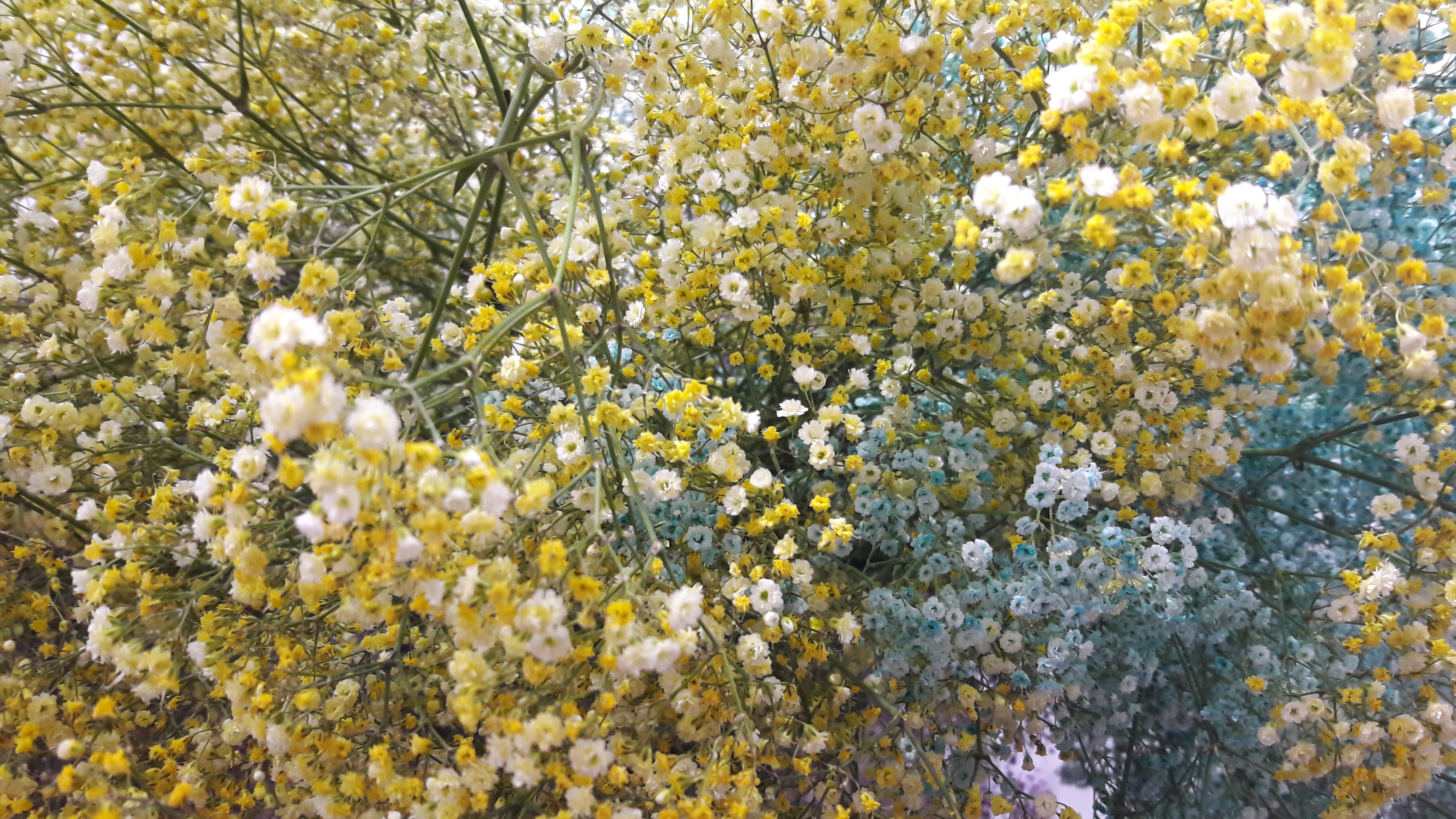 20170430_171821.jpg