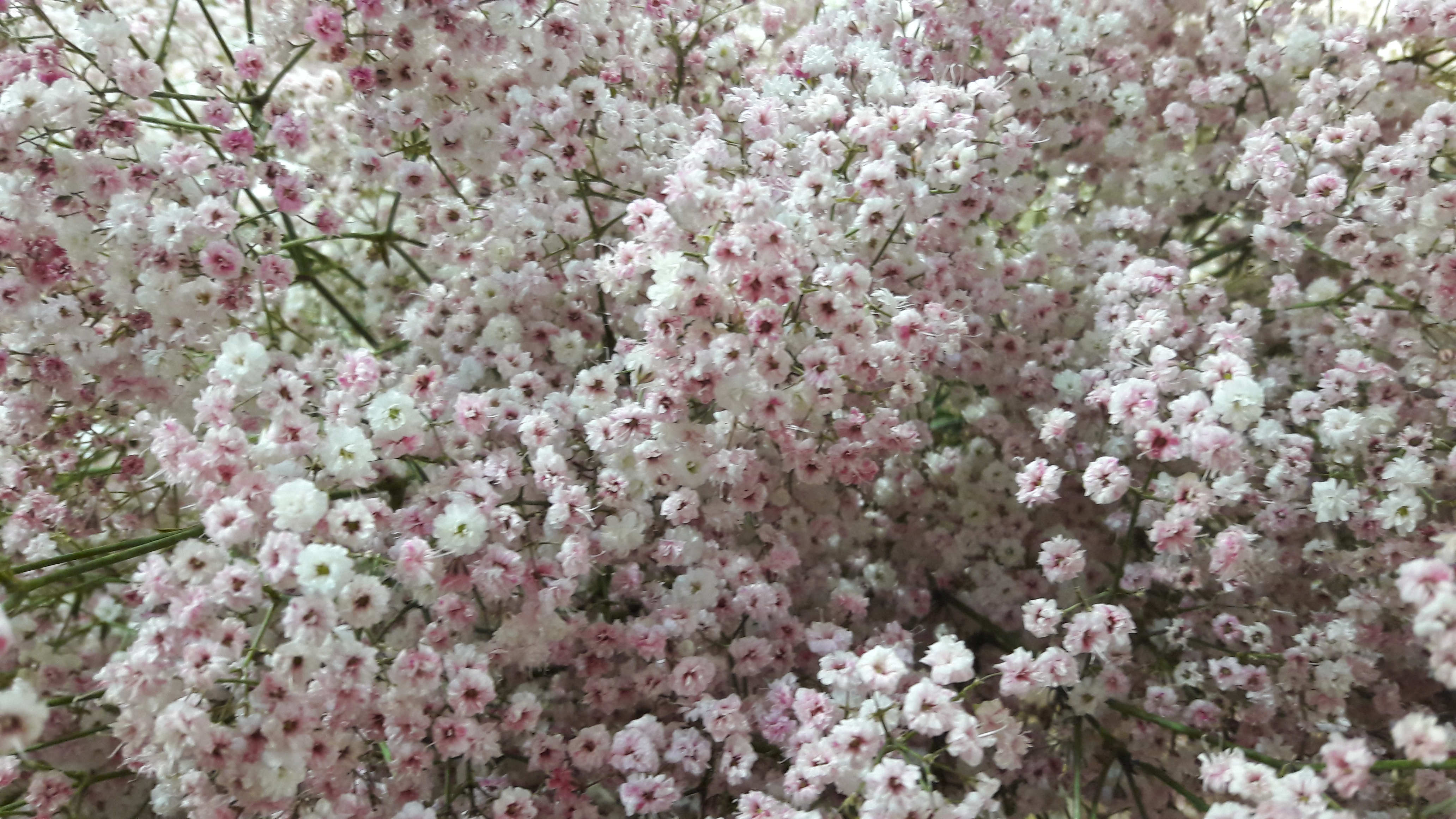 20170430_171827.jpg