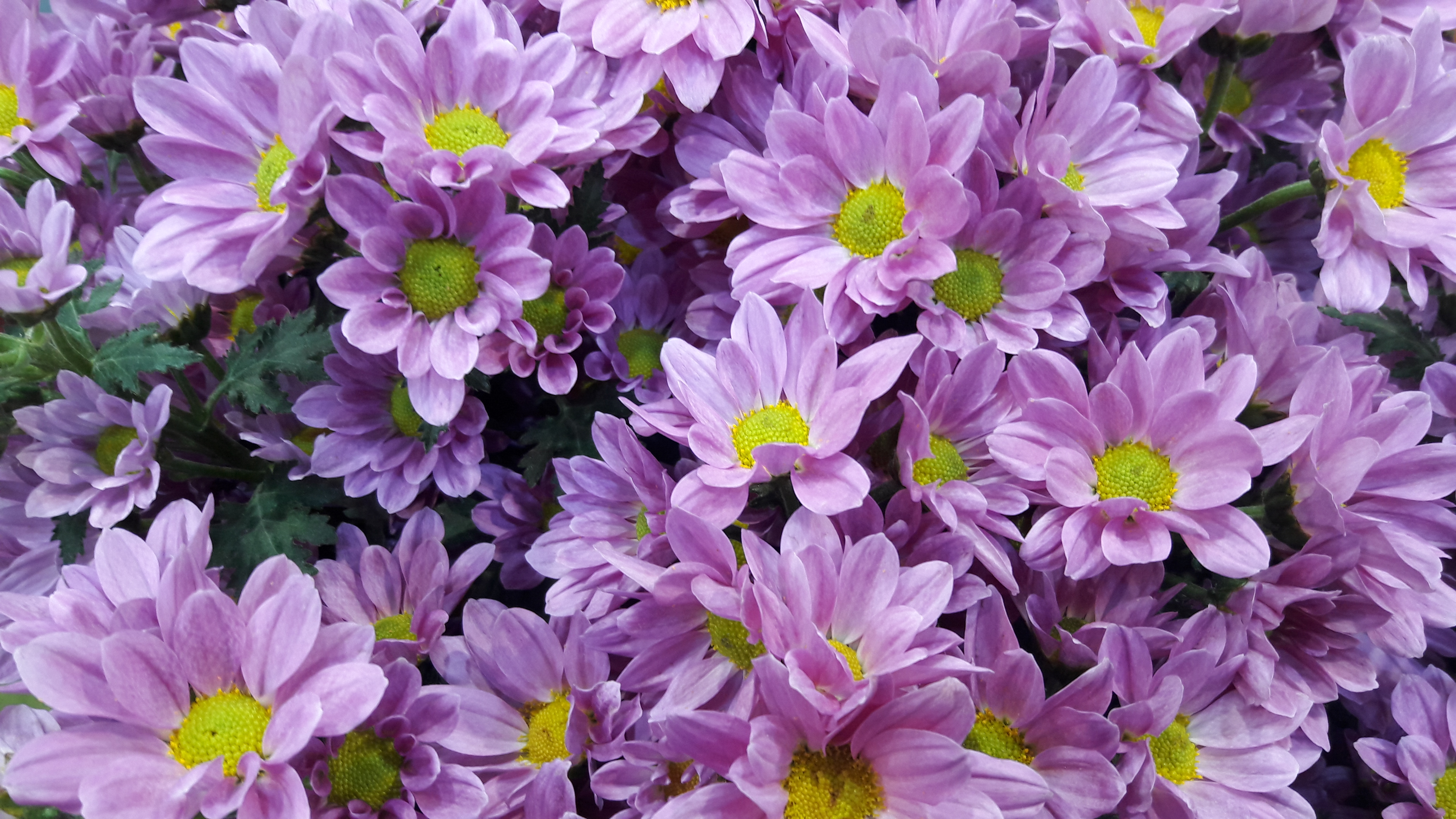 20170430_172714.jpg