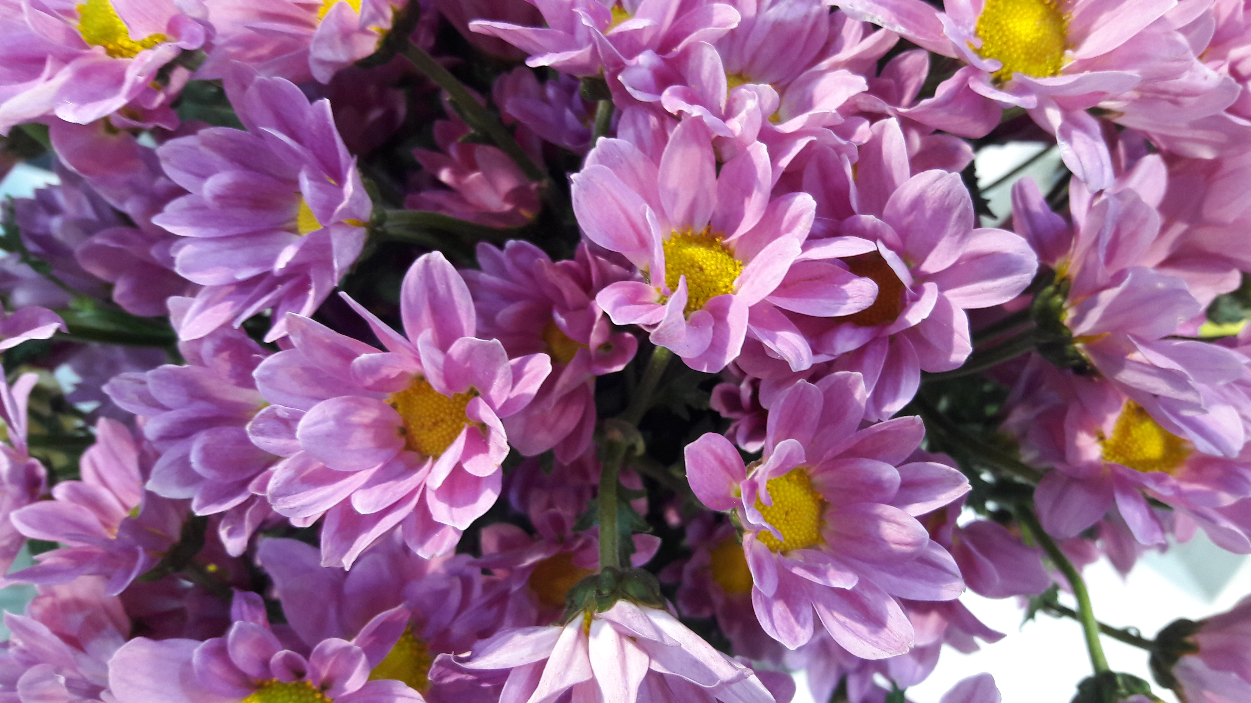 20170430_172806.jpg
